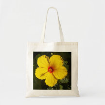 Flor de Hibiscus Amarelo