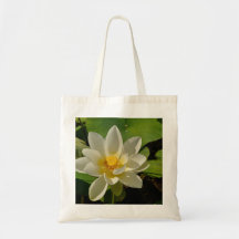 Flores brancas Lotus numa lagoa