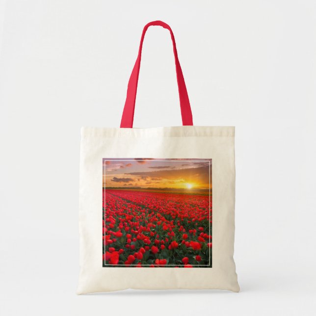 Bolsa Tote Flores | Jardim Botânico Holanda (Frente)