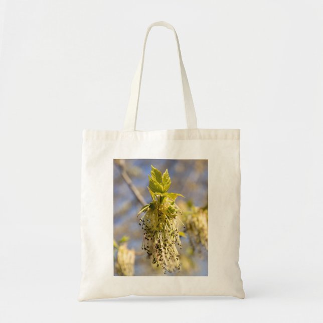 Bolsa Tote Folhas bonitas em primavera (Frente)