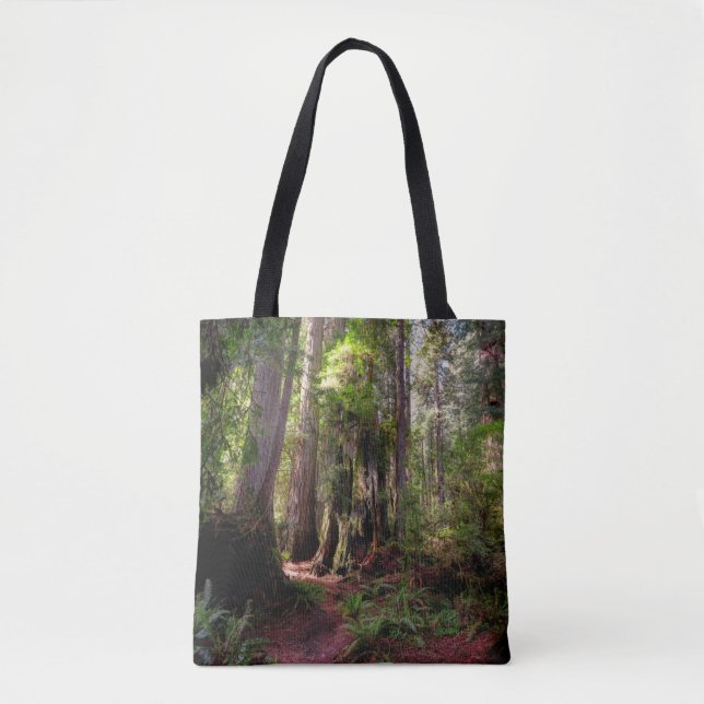 Bolsa Tote Forests | Redwood Forest California (Frente)