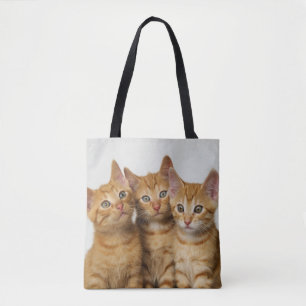 Bolsa Tote Foto bonito de três gatinhos do gato do gengibre -