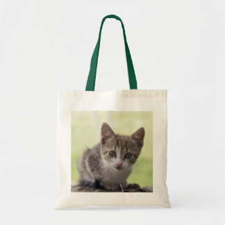 Bolsa Tote Gatinho