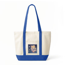 Gato bonito no espaço