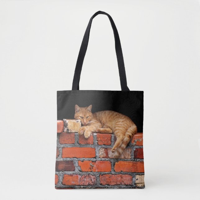Bolsa Tote Gato na Parede Brick (Frente)