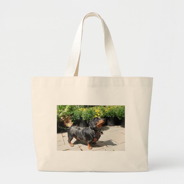 Bolsa Tote Grande A prata Dapple o amigo 2 do Dachshund (Frente)