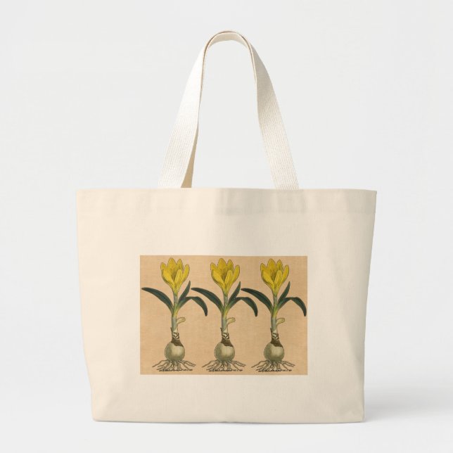 Bolsa Tote Grande Amaryllis Tulip Botanical Garden Flower (Frente)
