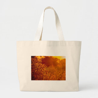 Bolsa Tote Grande Astro