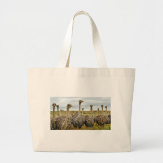 Bolsa Tote Grande avestruz