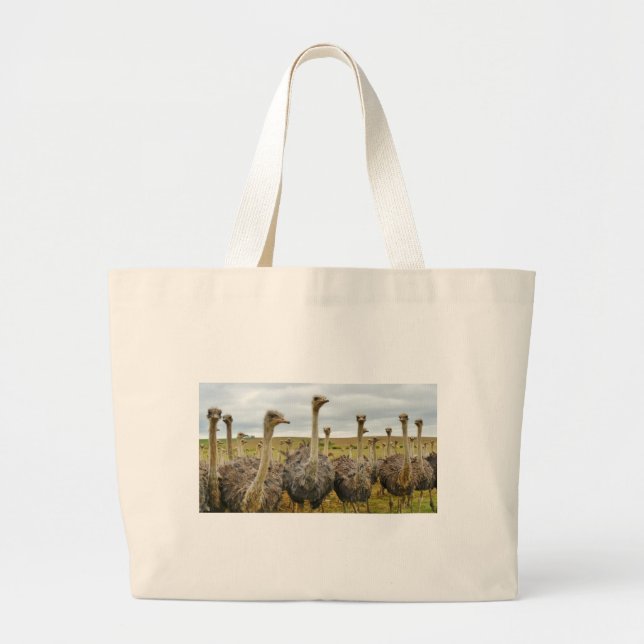 Bolsa Tote Grande avestruz (Frente)