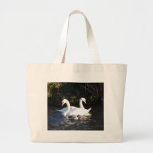 Dois Cisnes E Um Pato