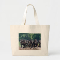 Equipe de Seis Cavalos