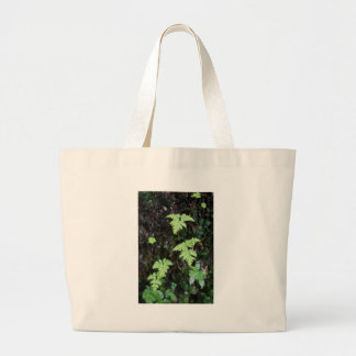 Bolsa Tote Grande Ferns -