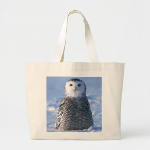 Bolsa Tote Grande Foto de Artic Snowy Owl Desenhada Pessoal
