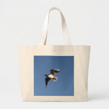Gaivota-pequena