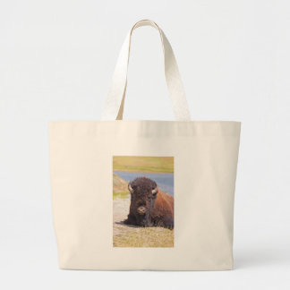 BOLSA TOTE GRANDE IMG_1227_1