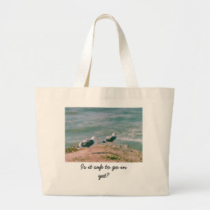 Bolsa Tote Grande Já é seguro entrar?