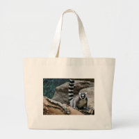 Lemur atado anel