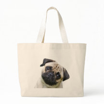 pug