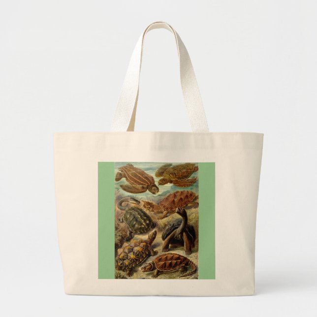 Bolsa Tote Grande Vintage Haeckel Turtles (Frente)