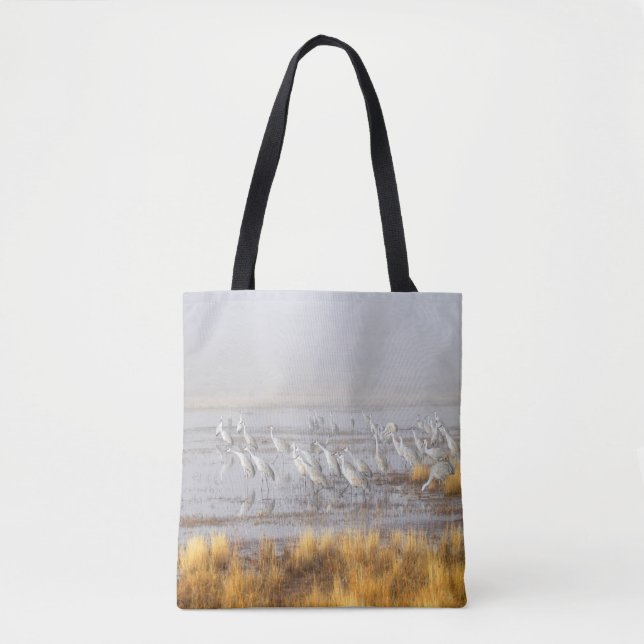 Bolsa Tote Grous-de-areia Nebulosos (Frente)