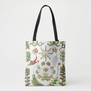 Bolsa Tote Hepaticae Lebermoose por Ernst Haeckel