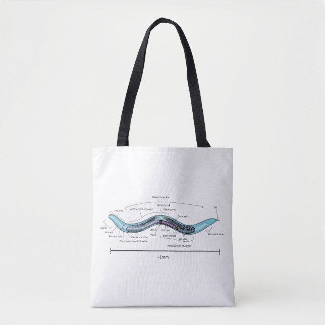 Bolsa Tote Hermafrodita Nematoide Caenorhabditis elegans (Frente)