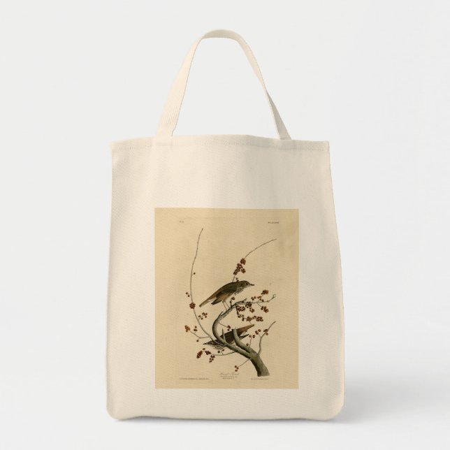 Bolsa Tote Hermit Thrush das Aves da América de Audubon (Frente)
