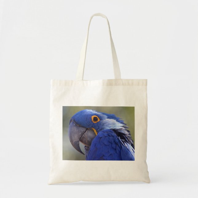 Bolsa Tote Hyacinth Macaw (Frente)