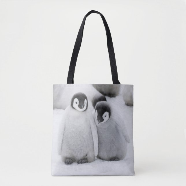 Bolsa Tote Imperador Pinguim Pintinho no Gelo na Antártica (Frente)
