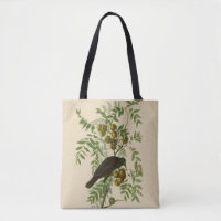 Impressão de Pássaro Grackle Roxo de Audubon Vinta