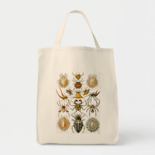 Bolsa Tote Insetos Haeckel