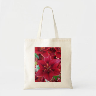 Bolsa Tote Jardim Vermelho