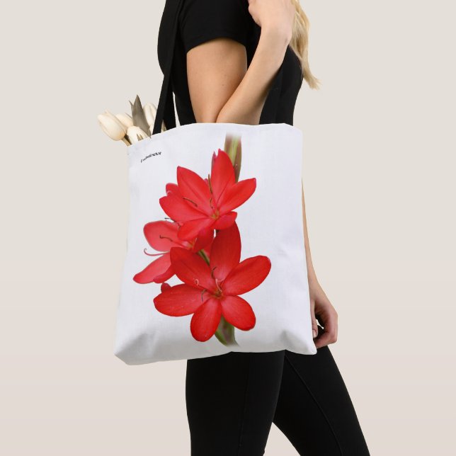 Bolsa Tote Kaffir Lily / River Lily / Hesperantha Coccinea (Close Up)