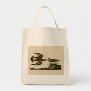 Bolsa Tote Kildeer Plover (Killdeer) Aves de Audubon da Améri