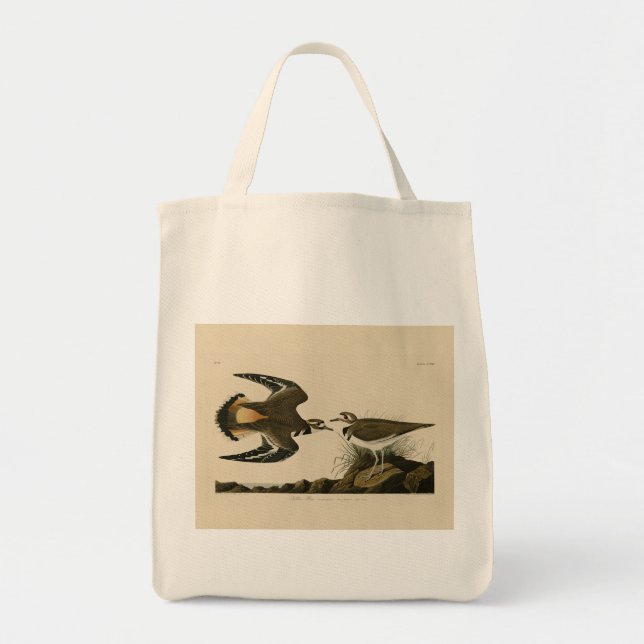 Bolsa Tote Kildeer Plover (Killdeer) Aves de Audubon da Améri (Frente)