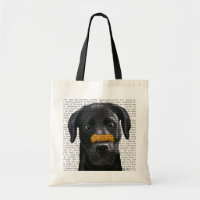 Labrador Preto com Osso no Nariz