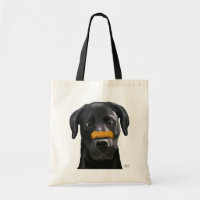 Labrador Preto com Osso no Nariz 2