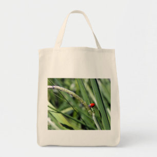 Bolsa Tote Ladybug (Coccinellidae) Tote Bag