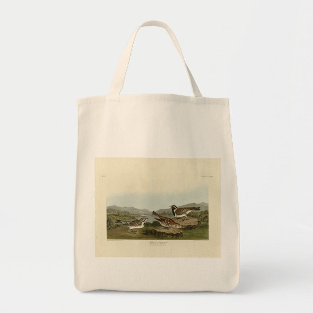 Bolsa Tote Lapland Long-spur, das Aves da América de Audubon (Frente)