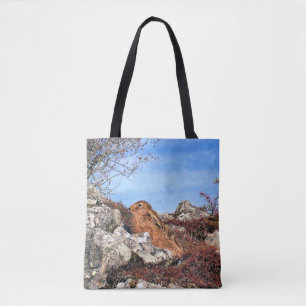 BOLSA TOTE LEBRE