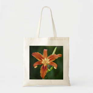 Bolsa Tote Lily P6588 Bag