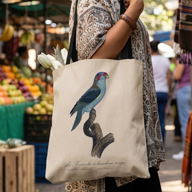 Bolsa Tote Loriqueito-azul, Trichoglossus concinnus (Musk Lorikeet, Trichoglossus Concinnus. Tote Bag)