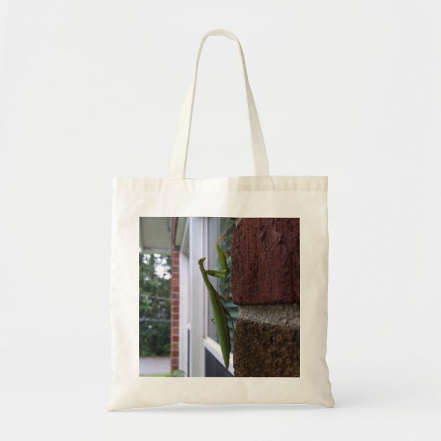 Bolsa Tote Louva-a-Deus em Parede de Tijolos (Frente)