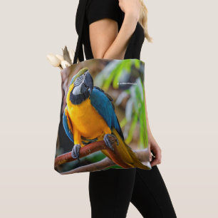 Bolsa Tote Macaw azul e Dourado bonito