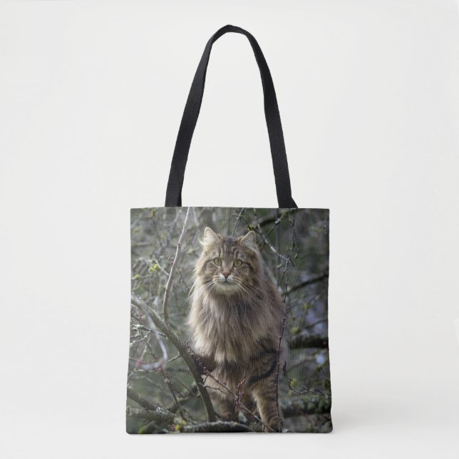 Bolsa Tote Maine Coon Tabby (Frente)