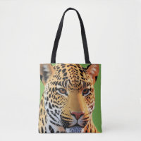 Majestoso Jaguar: A Beleza Feroz do Selvagem