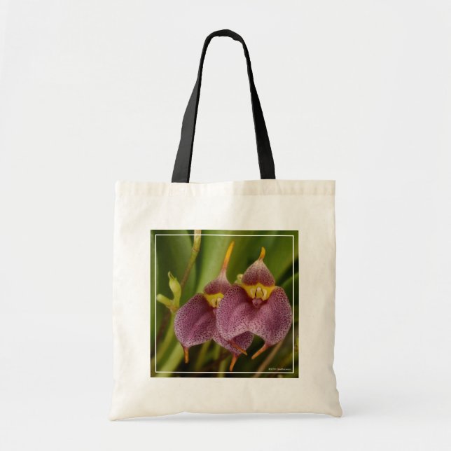 Bolsa Tote Masdevallia (Frente)