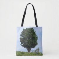 Mighty Cedar