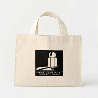 Bolsa Tote Mini Bradley Observatório Tote Bag